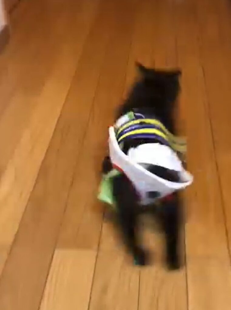 自作車いすで初めて走ったとき（＠ueda_learningさんより提供）