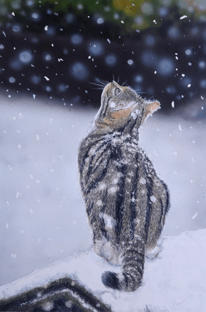 雪が降った時の猫（そんな感じさんより提供）