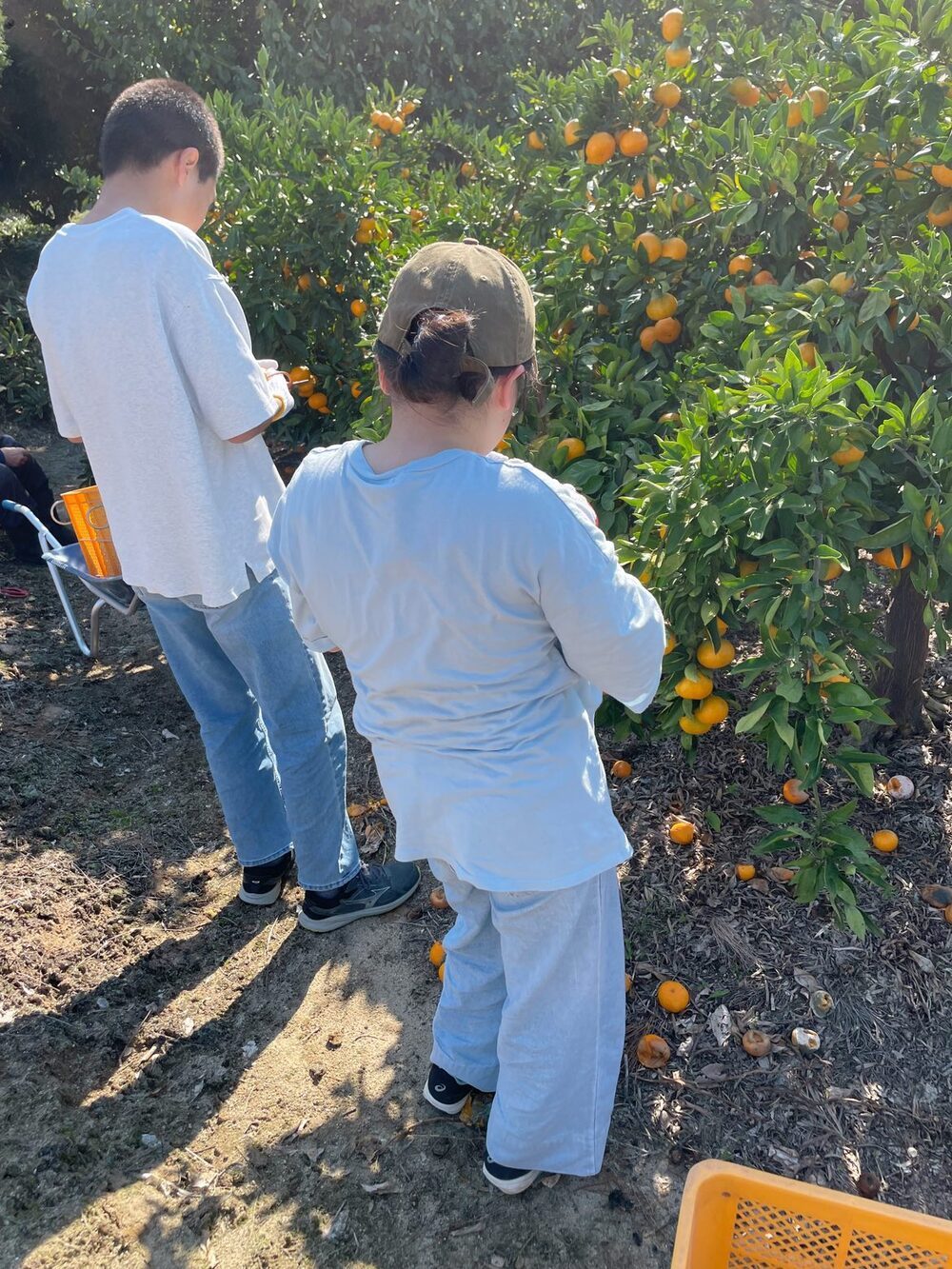 朝起きると…反抗期の中2息子「おめでとうございます」机の上に並んでいた『まさかのモノ』に…「涙出る」「感動的」「素敵」