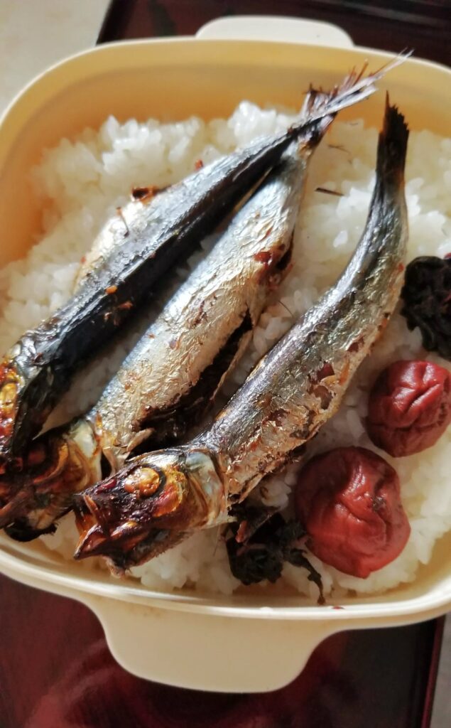 お父さんの作った弁当（＠yukino.21.sgmtさんより提供）