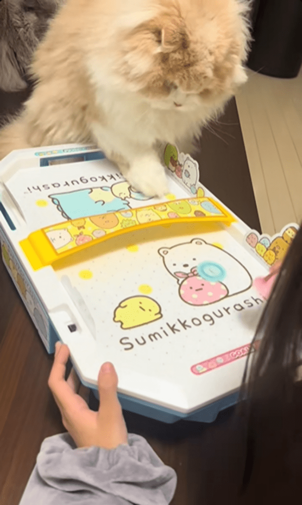 エアホッケーで遊ぶむぎくん③（＠k815670さんより提供）