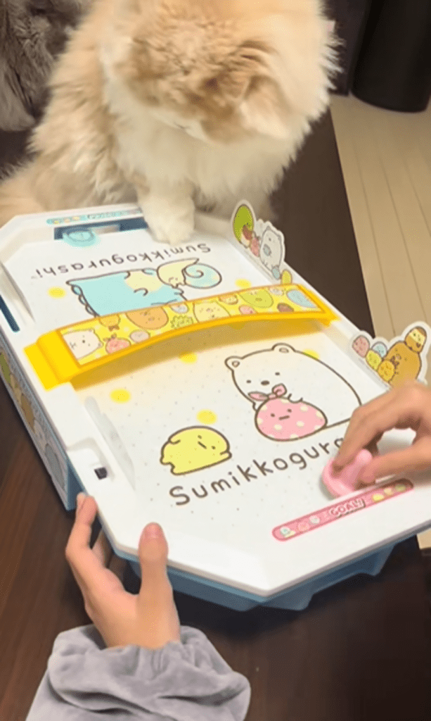 エアホッケーで遊ぶむぎくん④（＠k815670さんより提供）