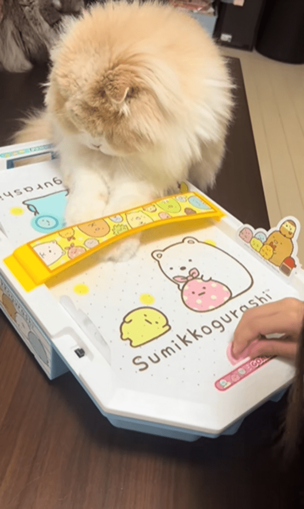 エアホッケーで遊ぶむぎくん⑥（＠k815670さんより提供）