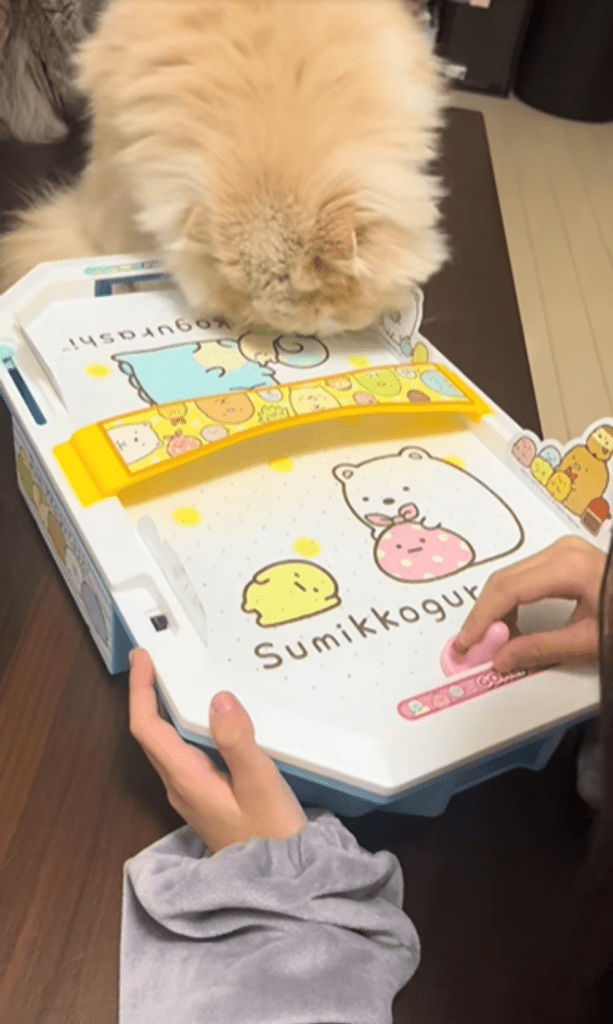 エアホッケーで遊ぶむぎくん⑦（＠k815670さんより提供）