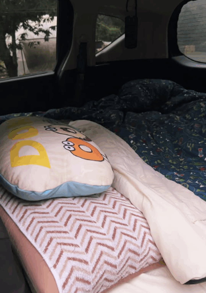旦那さんの工夫で車中泊（＠from_dystonia_girlさんより提供）
