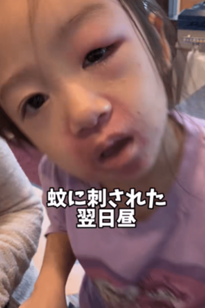 翌日昼（＠the_mk_familyさんより提供）