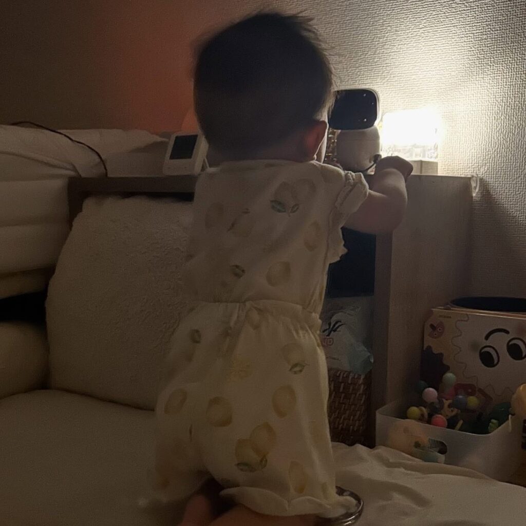 【実際の写真】ママさんが見た光景