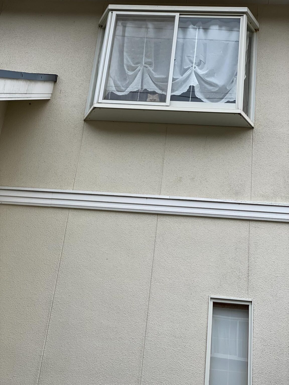 6日ぶりに実家に帰ると、窓辺の様子に違和感。よく見ると…”違和感の正体”に「毎日見に行きたい」「尊い…」