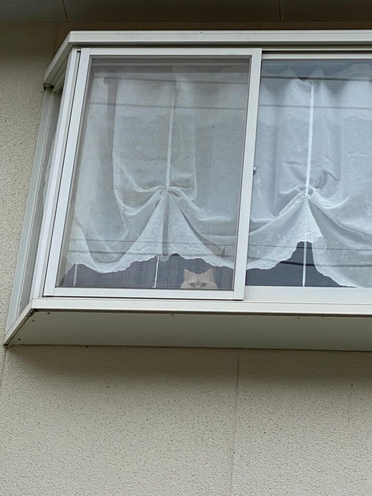 【実際の写真】　窓をズームした結果