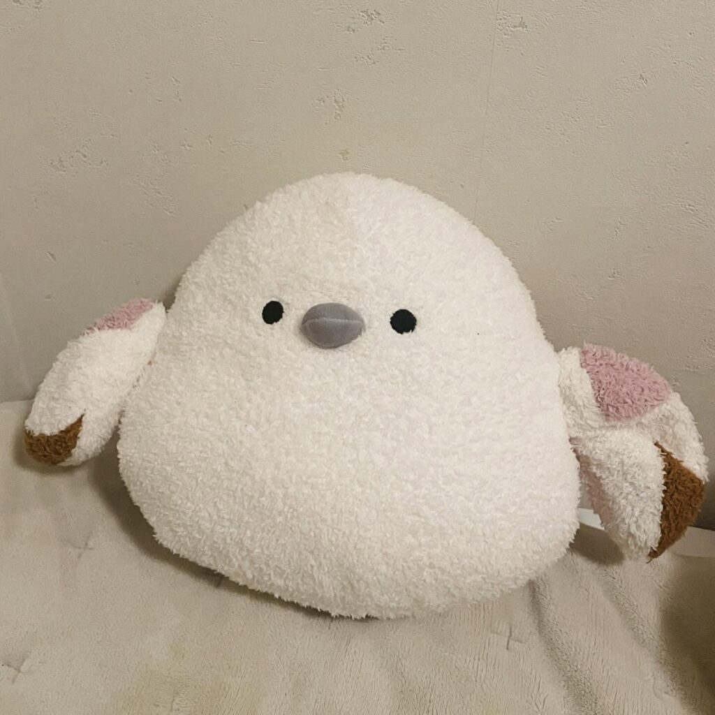 【実際の写真】変貌を遂げたぬいぐるみ