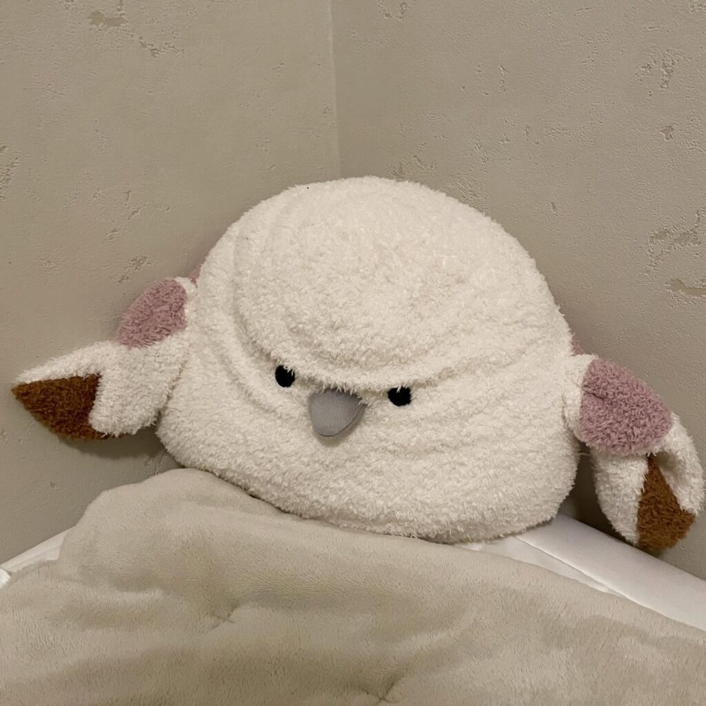 朝起きてみると…（＠morningsun3480さんより提供）