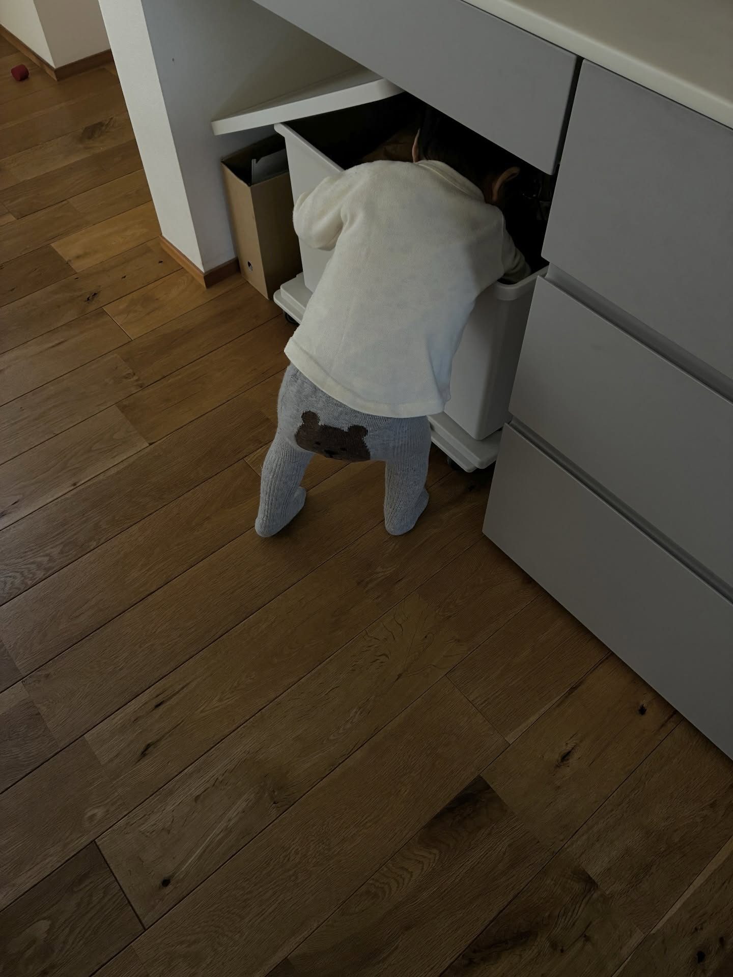 箱の中身に夢中にな1歳息子。しかし次の瞬間…底から発掘した”まさかの1品”に「これは降参」「よくやった！」