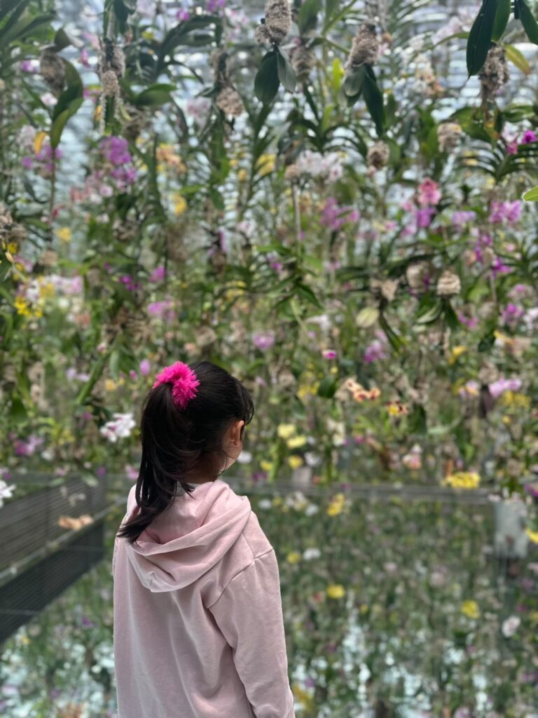 娘さん①（＠m_chaco7さんより提供）