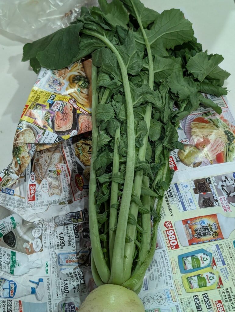 息子さんが持ち帰った大根③（＠h__ka.4さんより提供）