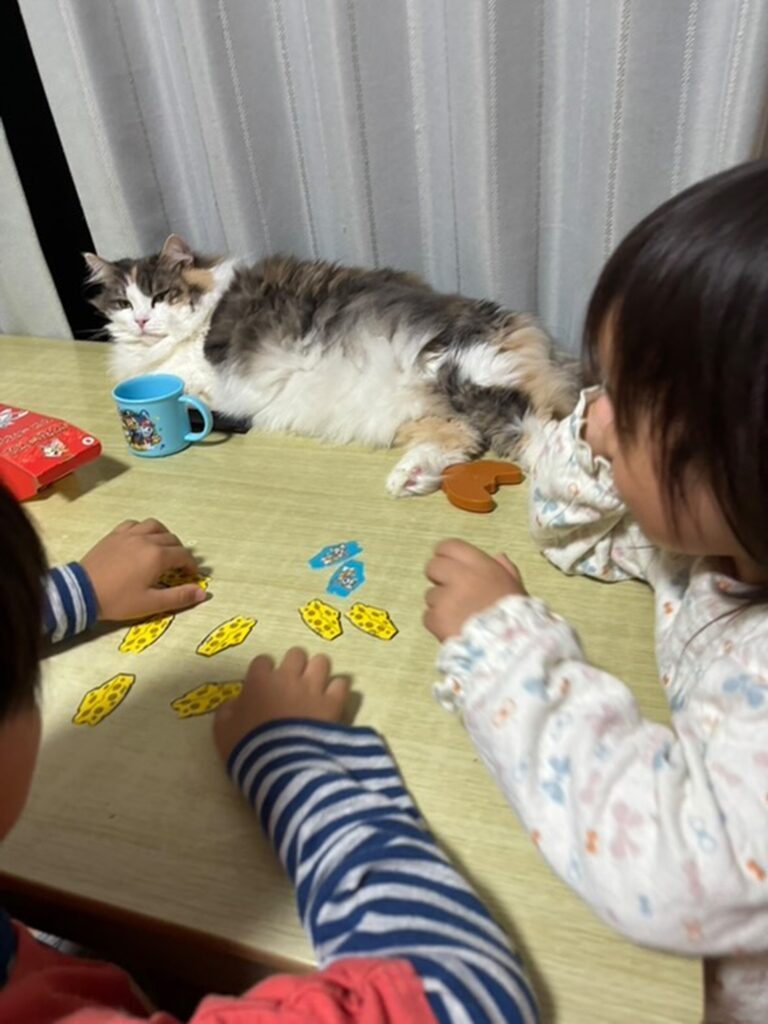 お兄ちゃんと一緒に遊んだよ（＠hiroe_fluteさんより提供）