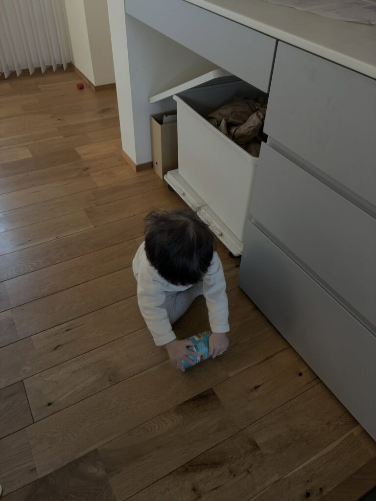 転がして遊んでいます（＠_____ihana.mamaさんより提供）