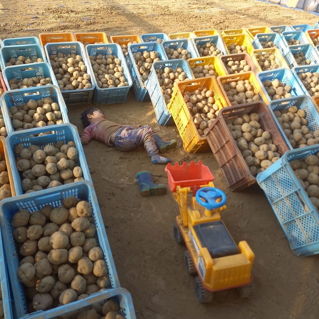 農作業場で眠る息子さん（＠deer.6393906さんより提供）