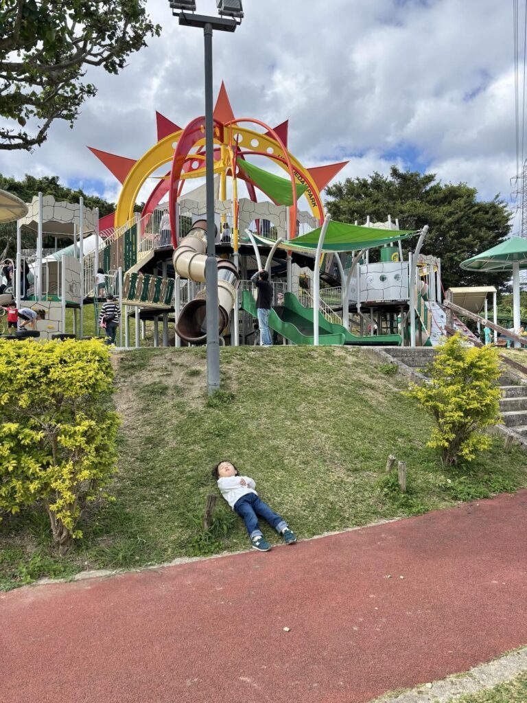 公園に来たのに…（＠haluluuuさんより提供）