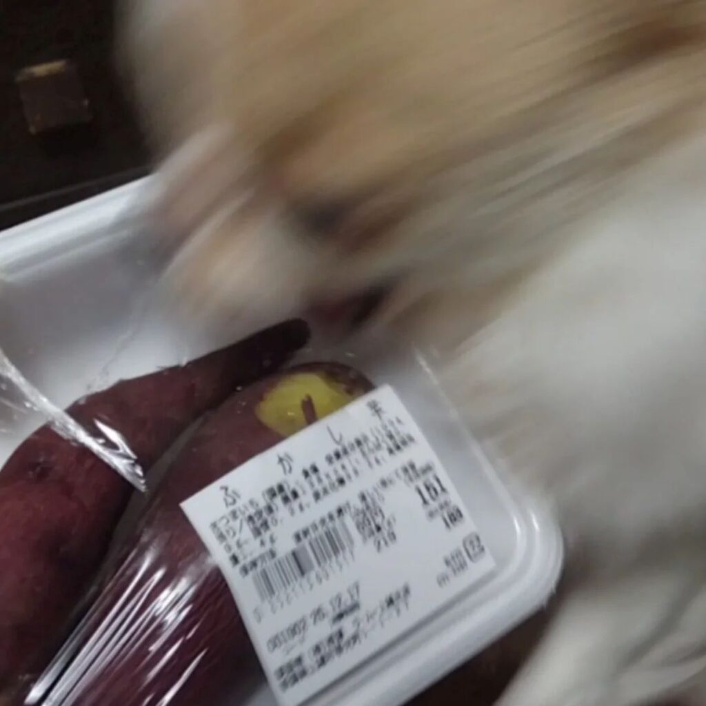 写真を撮ろうとすると…③（＠echigoya_minimokeさんより提供）