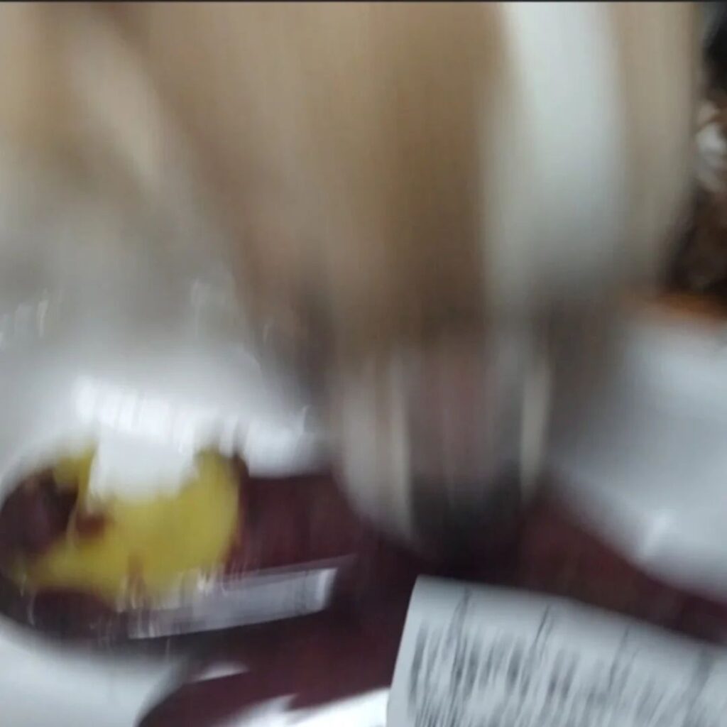 写真を撮ろうとすると…⑤（＠echigoya_minimokeさんより提供）