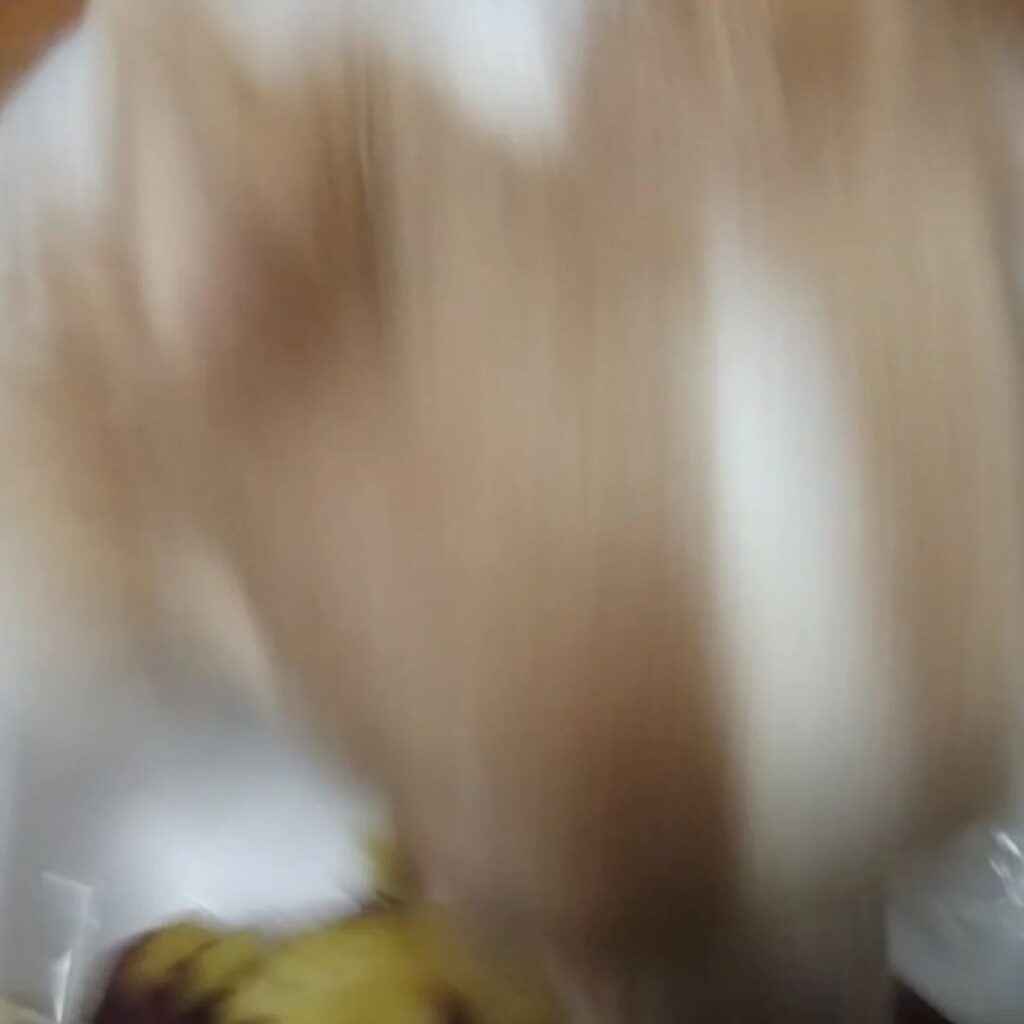 写真を撮ろうとすると…⑥（＠echigoya_minimokeさんより提供）