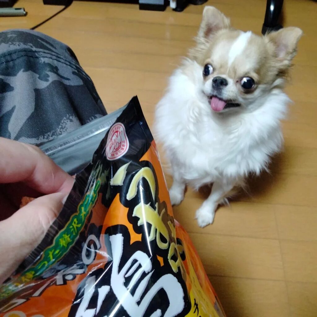 玉緒さん②（＠echigoya_minimokeさんより提供）