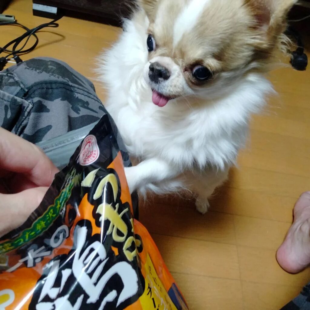 玉緒さん③（＠echigoya_minimokeさんより提供）