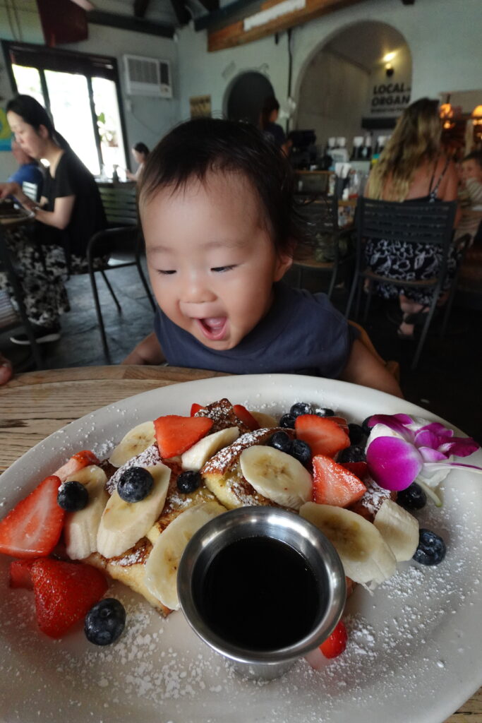 【実際の写真】　ママが見た光景