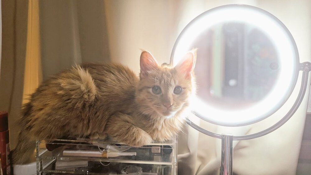 今ではすっかり元気に（@motikiro2さんより提供）