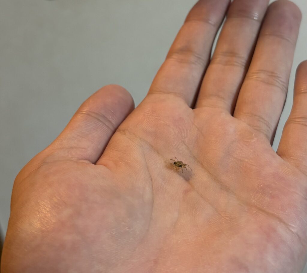 紛れ込んでいたのは…（＠SakumaYotsukamiさんより提供）