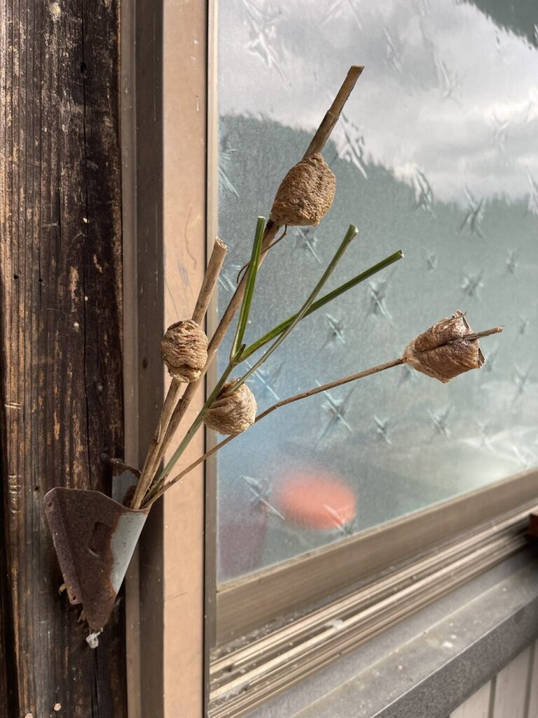 旗立てに飾っている（@naru422さんより提供）