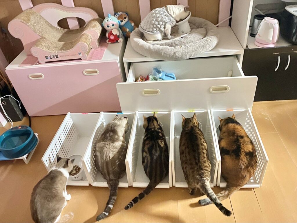 【実際の写真】クセが強すぎる食べ方