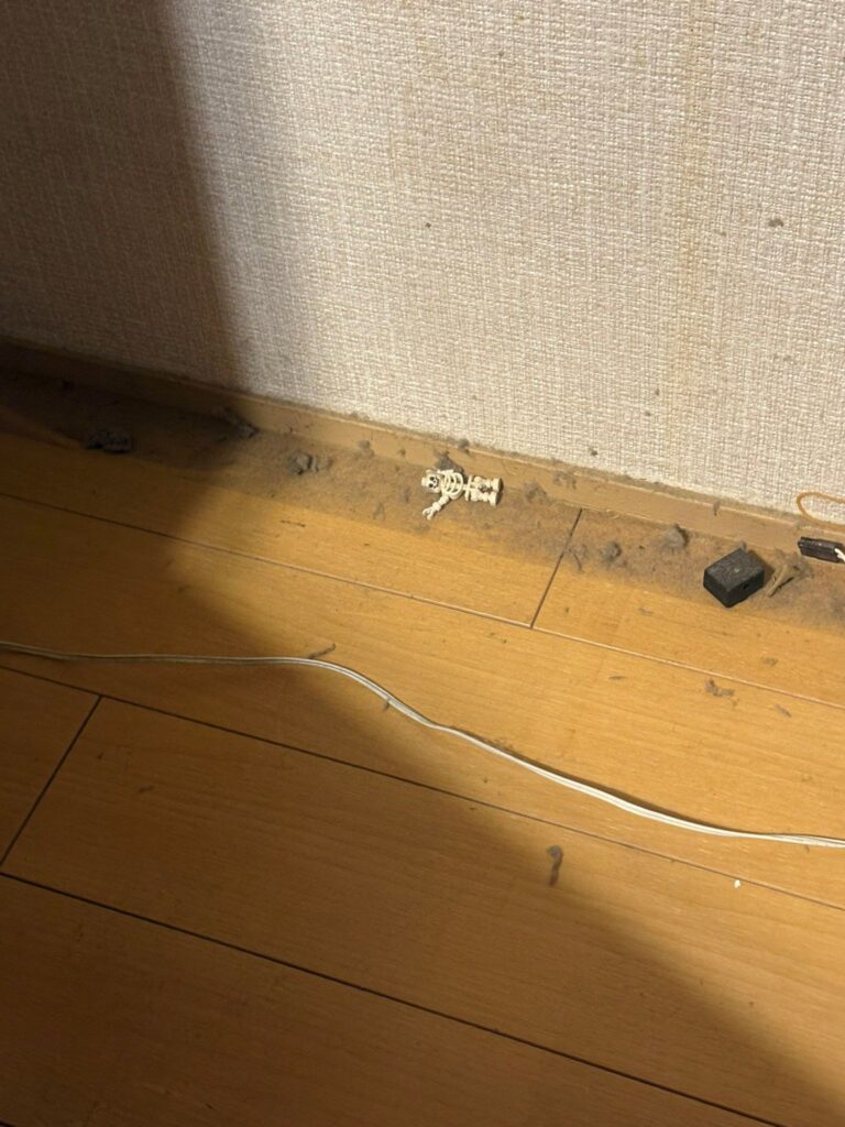 【実際の写真】テレビ裏に落ちていたもの
