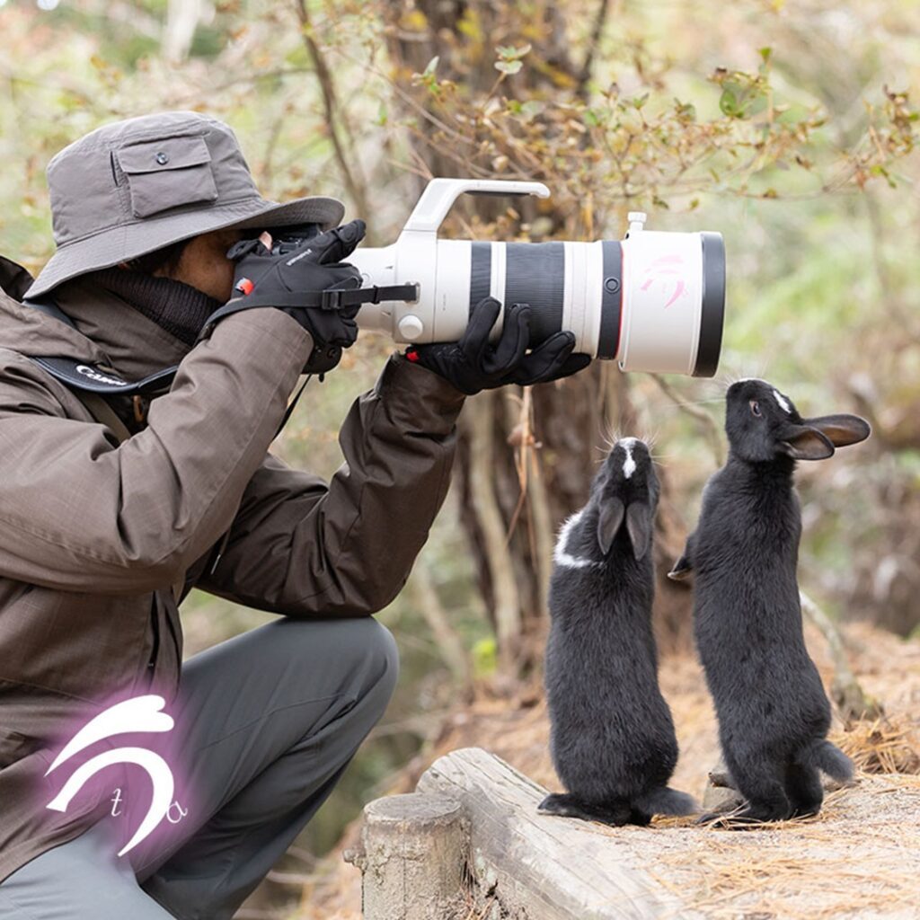 何を撮ってるの？（@utajimaさんより提供）