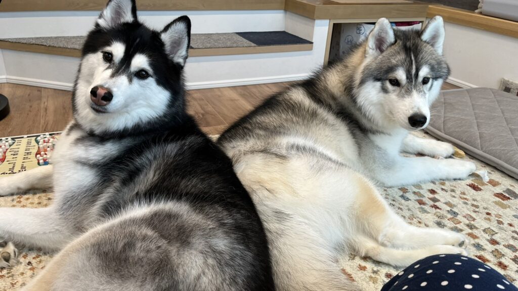 【実際の写真】違和感の正体