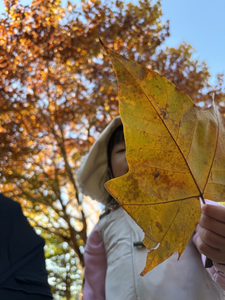 普段のお姉ちゃん③（＠zucchi021さんより提供）