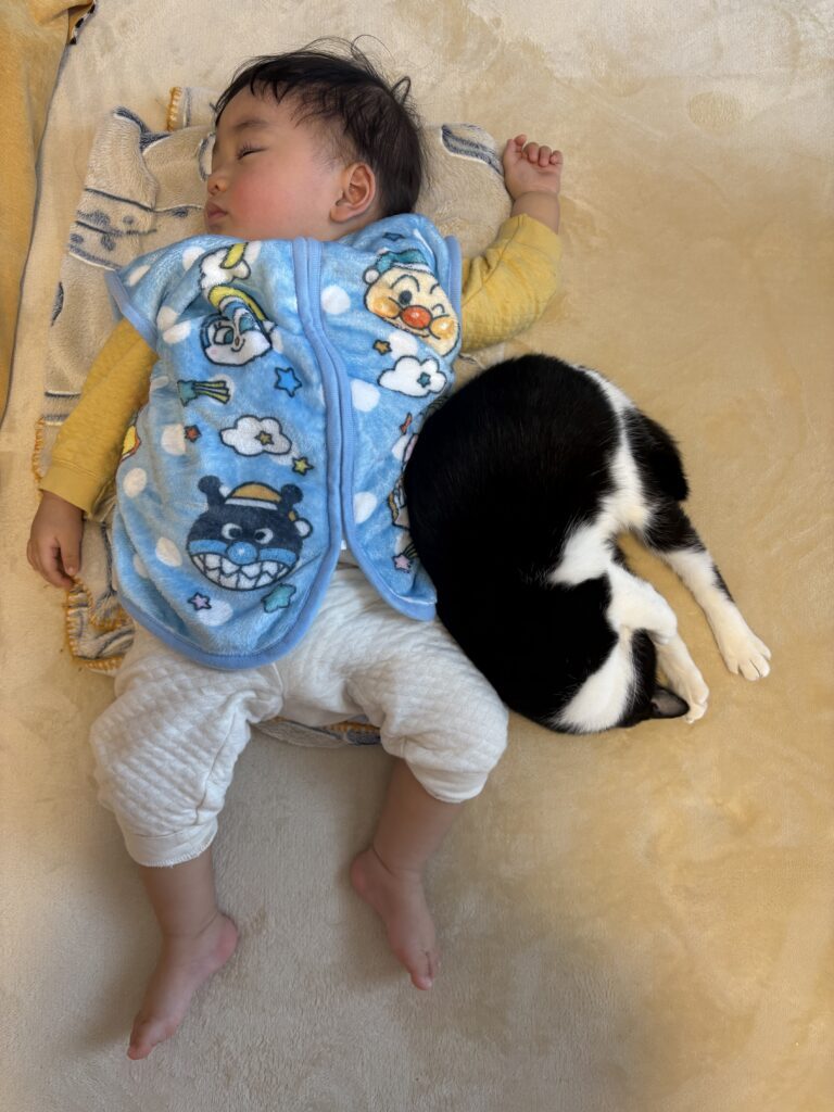 【実際の写真】息子さんの背後にいたモノ