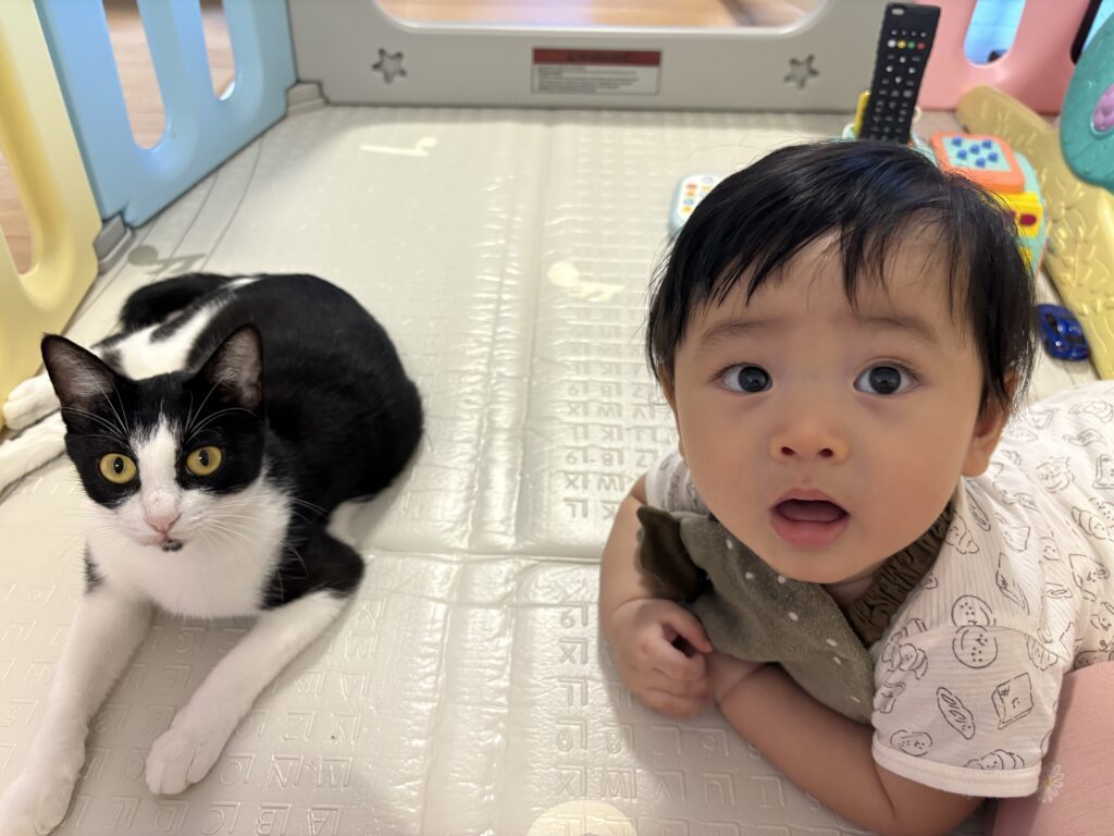 息子さんとルルちゃん②（＠louis3.luna1さんより提供）