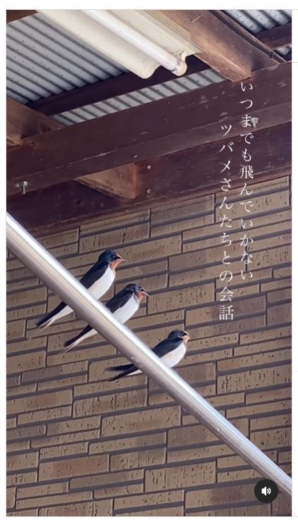 【実際の写真】まさかの状況