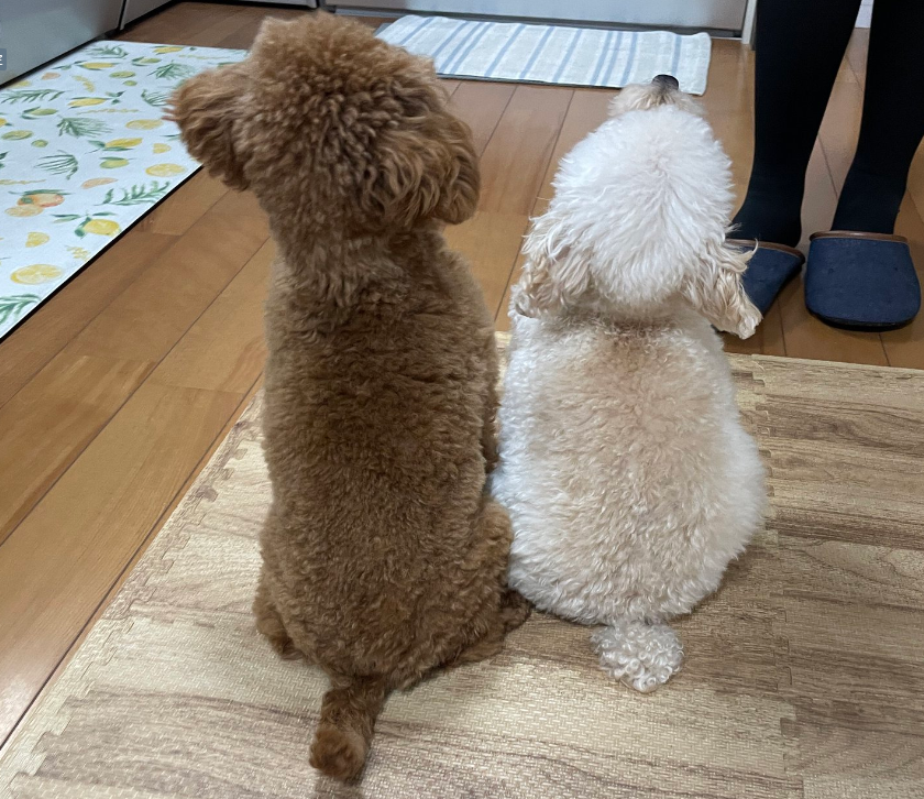 【実際の写真】　現在の様子