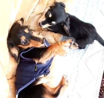 【実際の写真】　ママが見た光景