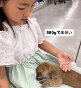 【実際の写真】現在の姿