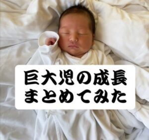 【実際の写真】現在の様子