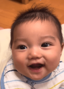 【実際の写真】現在の姿