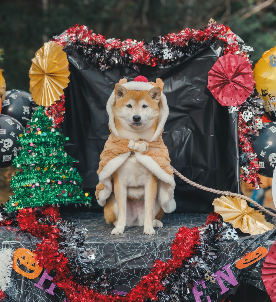「やる気なしモード」の顔のナツメちゃん（＠sakodeomaさんより提供）