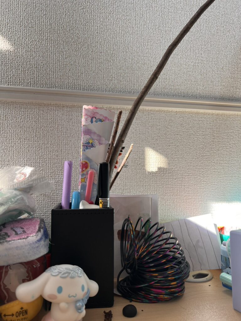 ペン立てに飾られた木の枝（＠arii.iiiiiii17さんより提供）