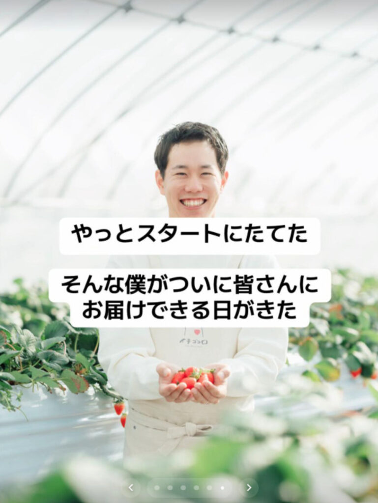 いちごの収穫（@ichigo_boyさんより提供）