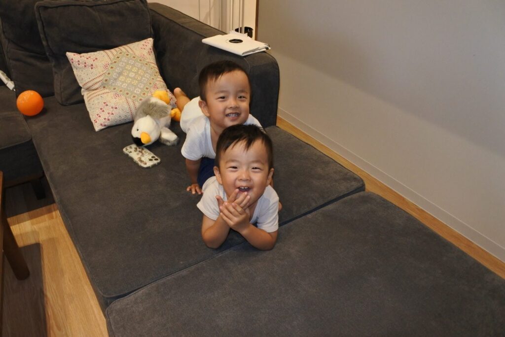 普段の様子（＠ao_sora_sさんより提供）