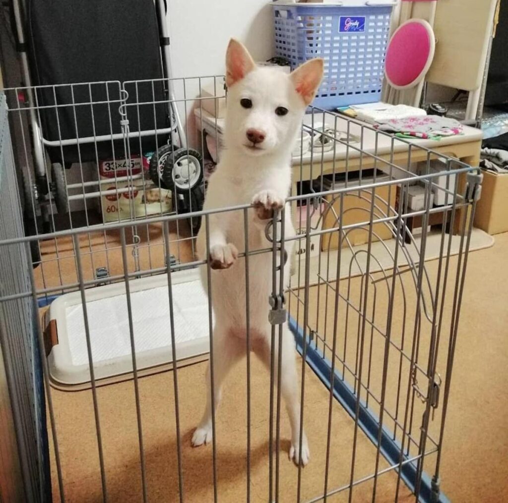 【実際の写真】現在の姿