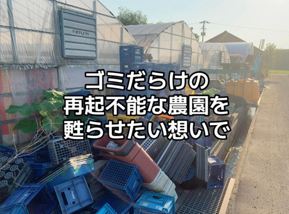 農園を甦らせたい（@ichigo_boyさんより提供）